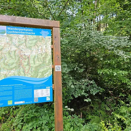 Woll Forest *
